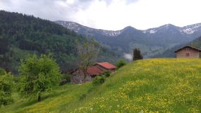 20180512-Oberstaufen-3-min.jpg